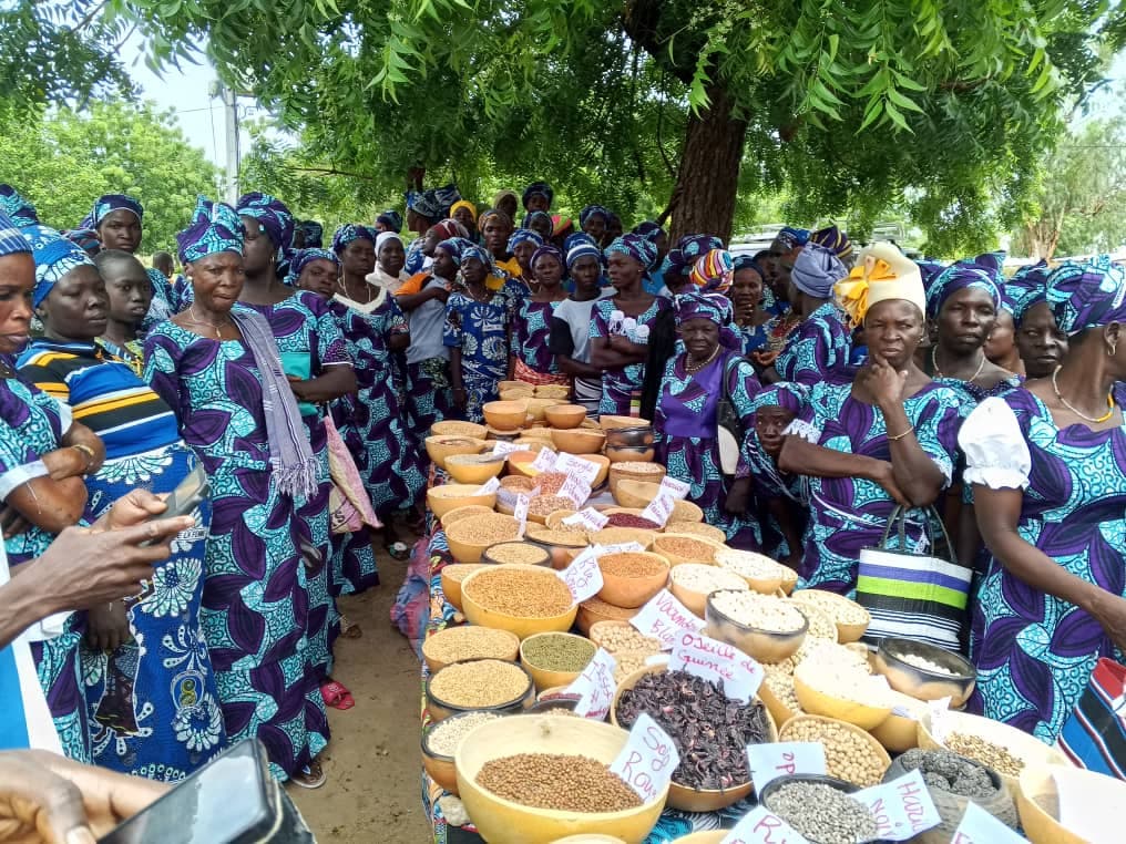 Femmes travaillant le karité